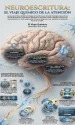 fundamentos de neurociencias en escritura
